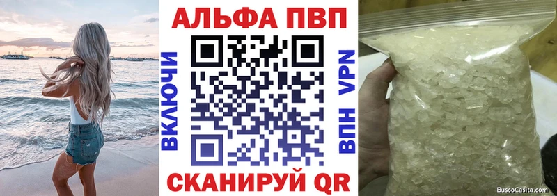 Alpha PVP СК  сколько стоит  блэк спрут как зайти  Томмот 