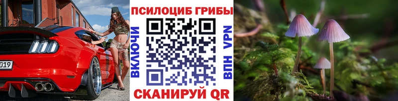 Псилоцибиновые грибы мицелий  закладка  Томмот 